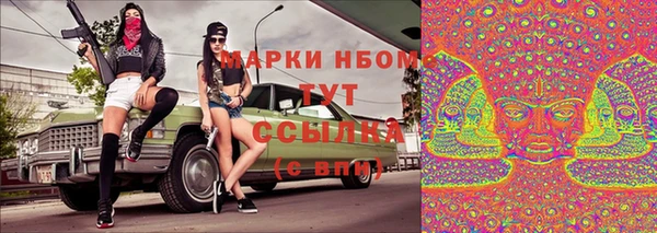 мдпв Волоколамск