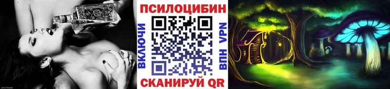 Псилоцибиновые грибы Psilocybine cubensis  Камешково 